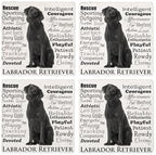CafePress Black Lab Traits Tumbled Stone - Set of 4 Coasters Set of 4 w/holder - Image 4