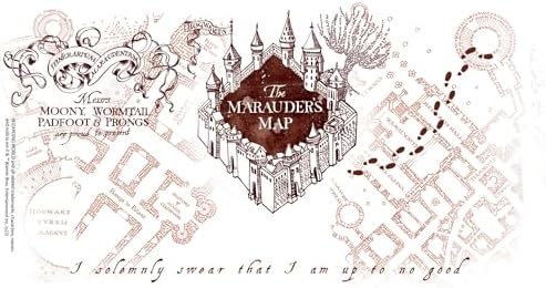 Tervis Harry Potter The Marauder's Map Made in USA Double Walled Insulated Tumbler Travel Cup Keeps Drinks Cold & Hot, 24oz Venture Lite Water Bottle, Classic - Image 2