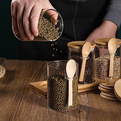 Glass Spice Storage Container with Spoon, 3PCS 20oz Airtight Sealed Condiment Jar with Tray, Kitchen Pantry Seasoning Canister Set for Salt Coffee Sugar Tea & Bathroom Cotton Swab Ball - Image 3