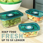 Avid Armor BPA-Free Borosilicate Glass Vacuum Containers, Set of 3 (12.5 oz, 23.7 oz, 38.9 oz) – Green SAN Lid with Date Coding, Works with Most Vacuum Sealers for Dry Goods & Marinating Includes Hose - Image 5