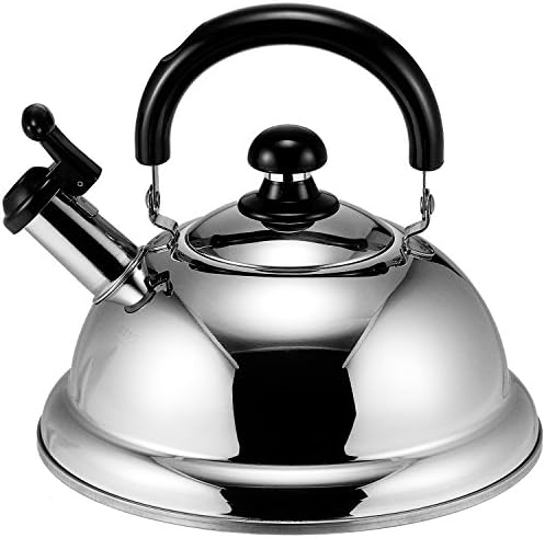 Quickone Takei Energy-Saving Fuefuki Whistle Kettle, 2.5 L, Silver by BAKERDEPOT