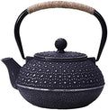 Japanese Tetsubin Tea Kettle Cast Iron Teapot with Stainless Steel Infuser by Unknown