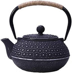 Japanese Tetsubin Tea Kettle Cast Iron Teapot with Stainless Steel Infuser by Unknown