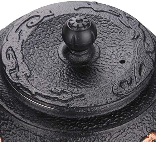 Cast Iron Tea Pot Set Japanese teapot tetsubin Kettle Drink kung fu Tools Stainless Steel - Image 5
