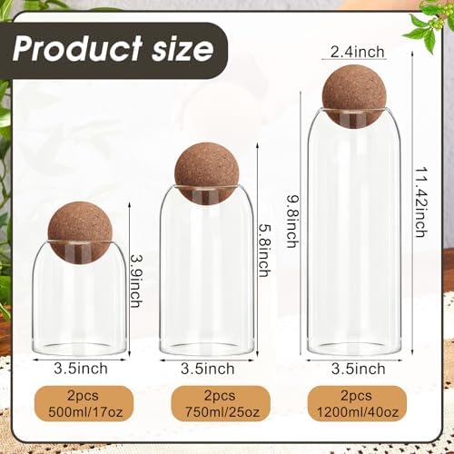 Suclain 6 Pcs Glass Jars with Cork Ball Lid Kitchen Canister, 40/25/17oz - Image 2