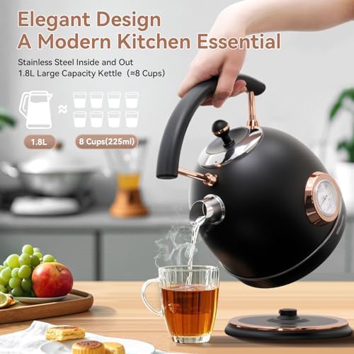 Rasonic Retro Electric Kettle Stainless Steel, 1.8L Tea Water Boiler, 1500W Fast Quiet Boil, Temperature Gauge, Auto Shut-Off, Boil-Dry Protection, Matt Black and Rose Gold - Image 2