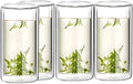 4 pieces /250ml，Double-walled glass drinking cup, glassware, heat-insulating drinking cup, office beverage cup for milk and coffee, non-scalding by Unknown