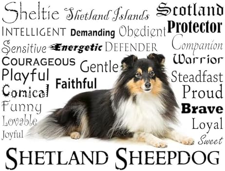 CafePress Tri Color Sheltie Tumbled Stone - Set of 4 Coasters Set of 4 - Image 2