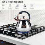 Tea Kettle Stovetop Whistling Kettle Teapot, 3Quart Tea Pot Stainless Steel Teakettle for Stove Top with Heat Proof Ergonomic Handle - Image 5