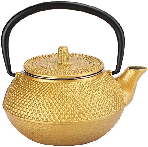 Cast Iron Teapot,0.3L Japanese Tetsubin Uncoated Cast Iron Tea Kettle With Stainless Steel Infuser For Coffee,Tea Bags,Loose Tea,Stovetop ,Collectible,for Home/Office/Restaurant by Diydeg
