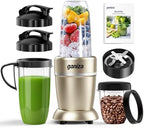 Ganiza Smoothie Blender Max 1300W, Personal Kitchen Blender & Grinder Combo by Ganiza