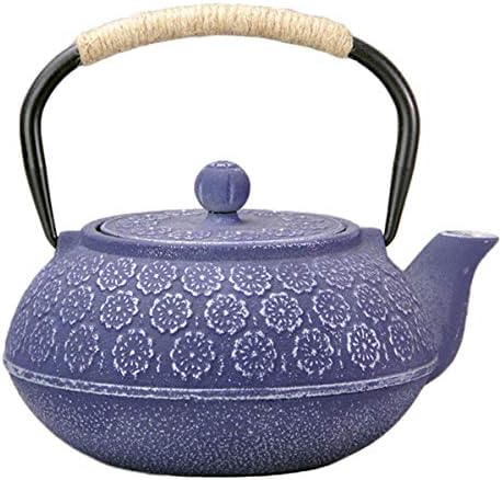 tetsubin cast iron kettle workshop japanese Healthy cast iron Teapot with Stainless Steel Infuser （800mL）【1.4Kg】 by Unknown