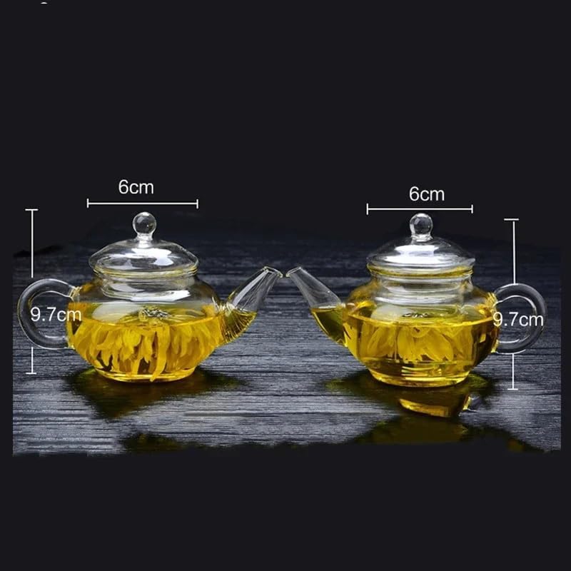 250ml Filterable Heat-resistant Glass Teapot Wall or With Stainless Steel Spring Clear Tea Pot - Image 3