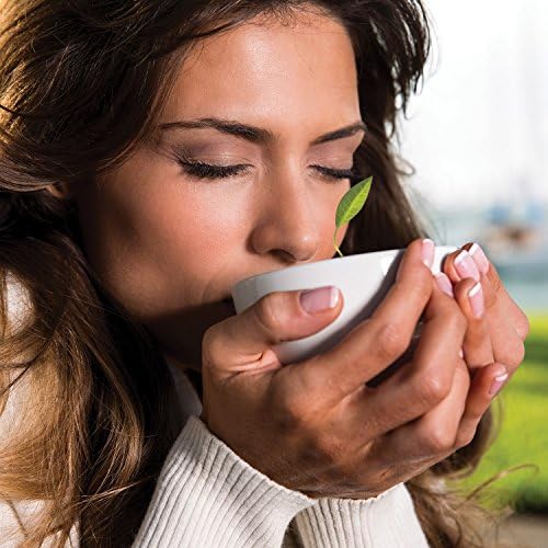Tea Forte Cafe Cup White Porcelain Tea Cup and Lid, Steeps 8 oz., Microwave and Dishwasher Safe (Pack of 2) - Image 4