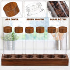 FOMIYES Glass Coffee Bean Storage Tubes 6 Pieces with Wood Stand, 0.6oz - Image 3