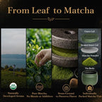 PANSIPTEA Ceremonial Matcha Set, 4 Single-Cultivar Matcha Powder Tins, 80g - Image 5