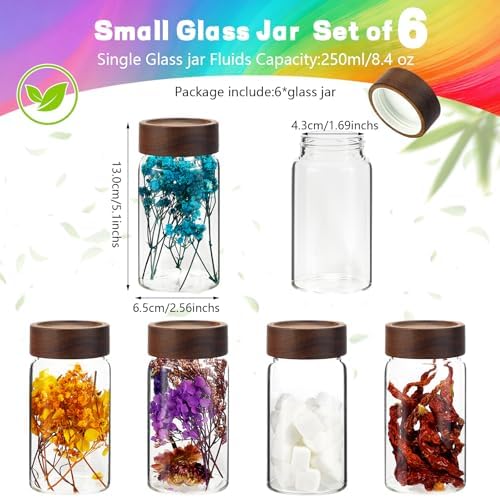 8oz Airtight Glass Jars Small Spice Storage Canister with Wooden Lid Clear Glass Food Container Canning Jar for Cookies Overnight Oats Yogurt Pantry Sugar Tea Coffee Bath Salts (6×250ml(8.4oz)) - Image 2