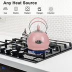 Whistling Tea Kettle Stainless Steel Teapot, Teakettle for Stovetop Induction Stove Top, Fast Boiling Heat Water Tea Pot 2.6 Quart - Image 2