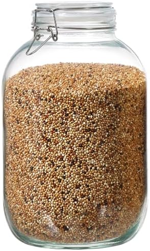 1 Gallon Glass Food Storage Jars with Airtight Lids, Set of 1 – Clear Preserving Seal Wire Clip Fastening Canisters for Kitchen Canning, Flour, Cereal, Pasta, Sugar, Beans, Pickling Jars (1gallon*1) by Unknown