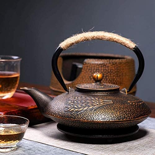 900ml Flat Japanese Cast Iron Teapots Tetsubin Tea Kettle with Stainless Steel Infuser/Strainer Set, Anti Rust Enameled Interior(Color:C) by MGEMJMJ