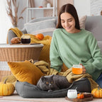 Layhit 6 Sets Pumpkin Shaped Glass Coffee Mugs with Spoons 13.5 oz Clear Tea Cups with Handle Mini Spoons for Milk, Latte, Cappuccino, Espresso, Cold or Hot Drinks - Image 4