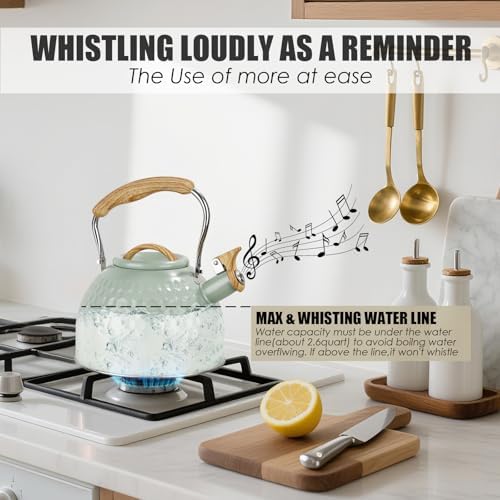 Phyllia Tea Kettle -3.L Whistling Tea Kettle for Stove Top Stainless Steel Tea Pot Stovetop Food Grade Water Kettle with folding Handle for Coffee Tea Milk Hot Water Kettle Pot -Patterned Green - Image 6