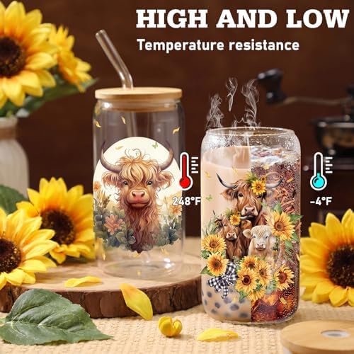 Teenyyou 12 Set of Glasses with Bamboo Lid and Glass Straw 16 oz(Highland Cow) - Image 3