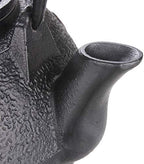 Cast Iron Tea Pot Set Japanese teapot tetsubin Kettle Drink kung fu Tools Stainless Steel - Image 4