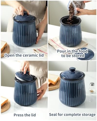 Hasense Storage Containers for Kitchen Counter, Airtight Food Jar with Lid, 88 oz Cookie Candy Jar for Coffee Beans, Tea-leave, Sugar, Salt, Flour, Spice, Dog Treat Container, Blue - Image 5