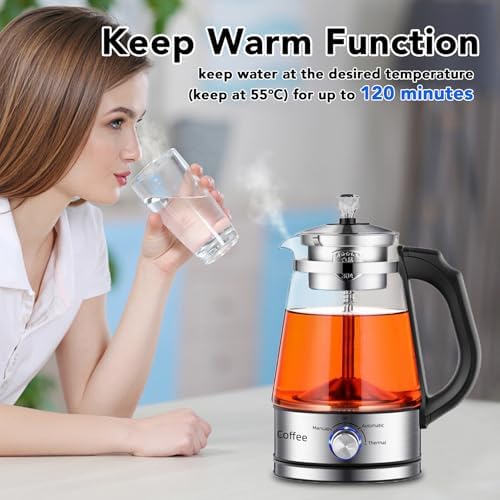 Electric Kettle with Temperature Control Removable Tea Infuser - Image 3