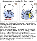 cast iron tea kettle tetsubin japanese cast iron teapot workshop with Stainless Steel Infuser(30.4oz) - Image 6