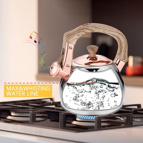 Stainless Steel Tea Kettle for Stove Top Teakettles Stovetop Whistling with Heat Proof Ergonomic Handle 2.5 Quart - Image 2