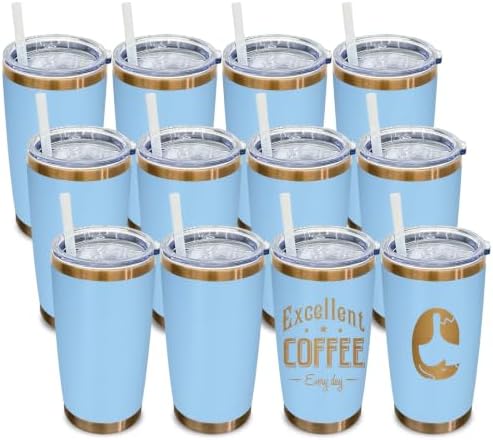 20 oz Tumbler Bulk Stainless Steel Tumblers with Lids and Straws Sky Blue by MetalyaTumblers