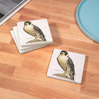 CafePress Peregrine Falcon Bird Tumbled Stone - Set of 4 Coasters Set of 4 - Image 3