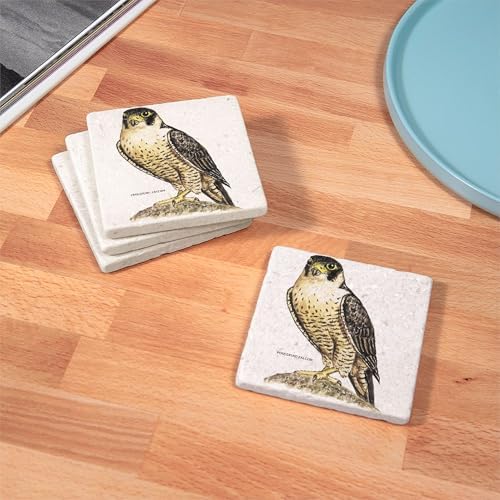CafePress Peregrine Falcon Bird Tumbled Stone - Set of 4 Coasters Set of 4 - Image 3