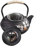 Japanese Cast Iron Teapot, 27oz/800ml Cast Iron Tea Kettle by HomeKitchen