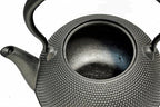 Japan Nambu Ironware Oigen Tetsubin Kettle Maromi Arare H-143 - Image 3