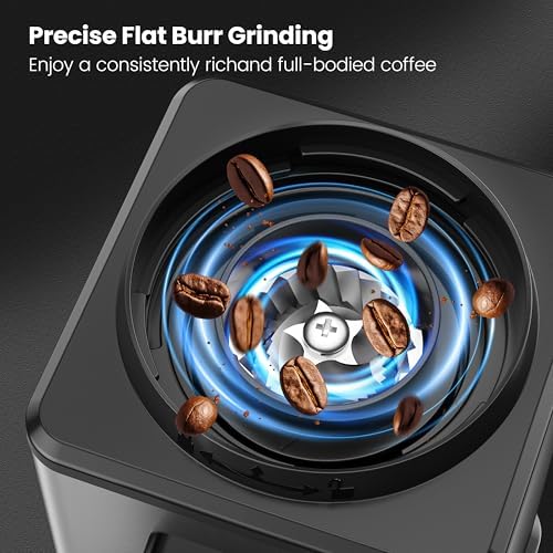 Home Coffee Grinder, Conical Burr Grinder, Stainless Steel - Image 3