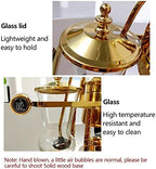 DYRABREST Siphon Syphon Coffee Maker, 5-Cup Coffee Syphon Tabletop Siphon (Syphon) Coffee Maker 500ml Borosilicate Tabletop Vacuum Coffee Maker for Home, Coffee Shops and Offices (500ml, Gold) - Image 6
