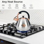 Tea Kettle Stovetop Whistling Kettle Teapot, 3Quart Tea Pot Stainless Steel Teakettle for Stove Top with Heat Proof Ergonomic Handle - Image 2