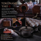 Tokoname-Yaki Kyusu Teapot, Black, 13.2 fl oz, Fine Mesh - Image 5