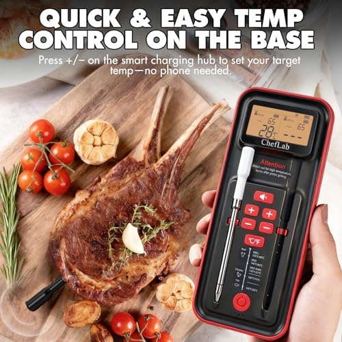 Smart Bluetooth Wireless Meat Thermometer Digital for Grill, Smoker, BBQ - Image 3