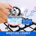GGC Whistling Stove Top Tea Kettles, 304 Stainless Steel Tea Kettles with Anti-Heat Handle, 3.1QT/3L Tea Pot for Boiling Water, Coffee or Milk - Image 2