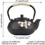 tetsubin cast iron teapot japanese tea kettle workshop with Stainless Steel Infuser(Plum bamboo pattern 20oz）【2.1 lb】 - Image 2