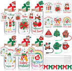 Vesici 6 Set Christmas Teacher Appreciation Gifts Glass Cups with Lid Straw by Vesici