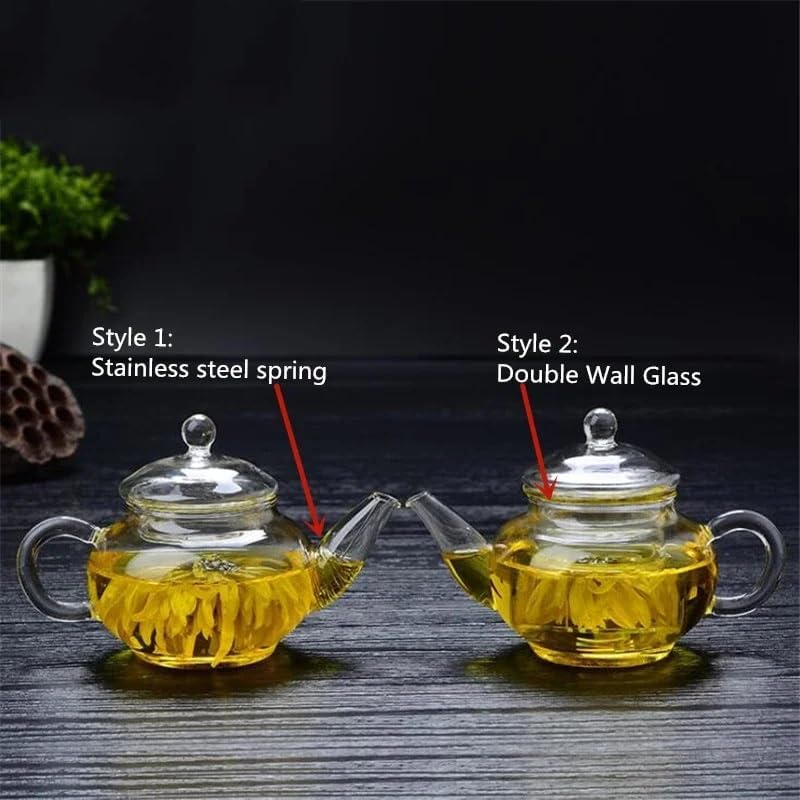 250ml Filterable Heat-resistant Glass Teapot Wall or With Stainless Steel Spring Clear Tea Pot - Image 5